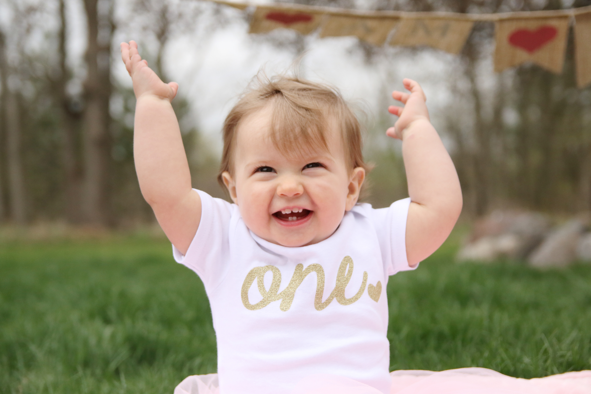 toddler girl sitting on a cream blanket on the grass wearing a pink tutu and a white t-shirt with gold writing that says ONE