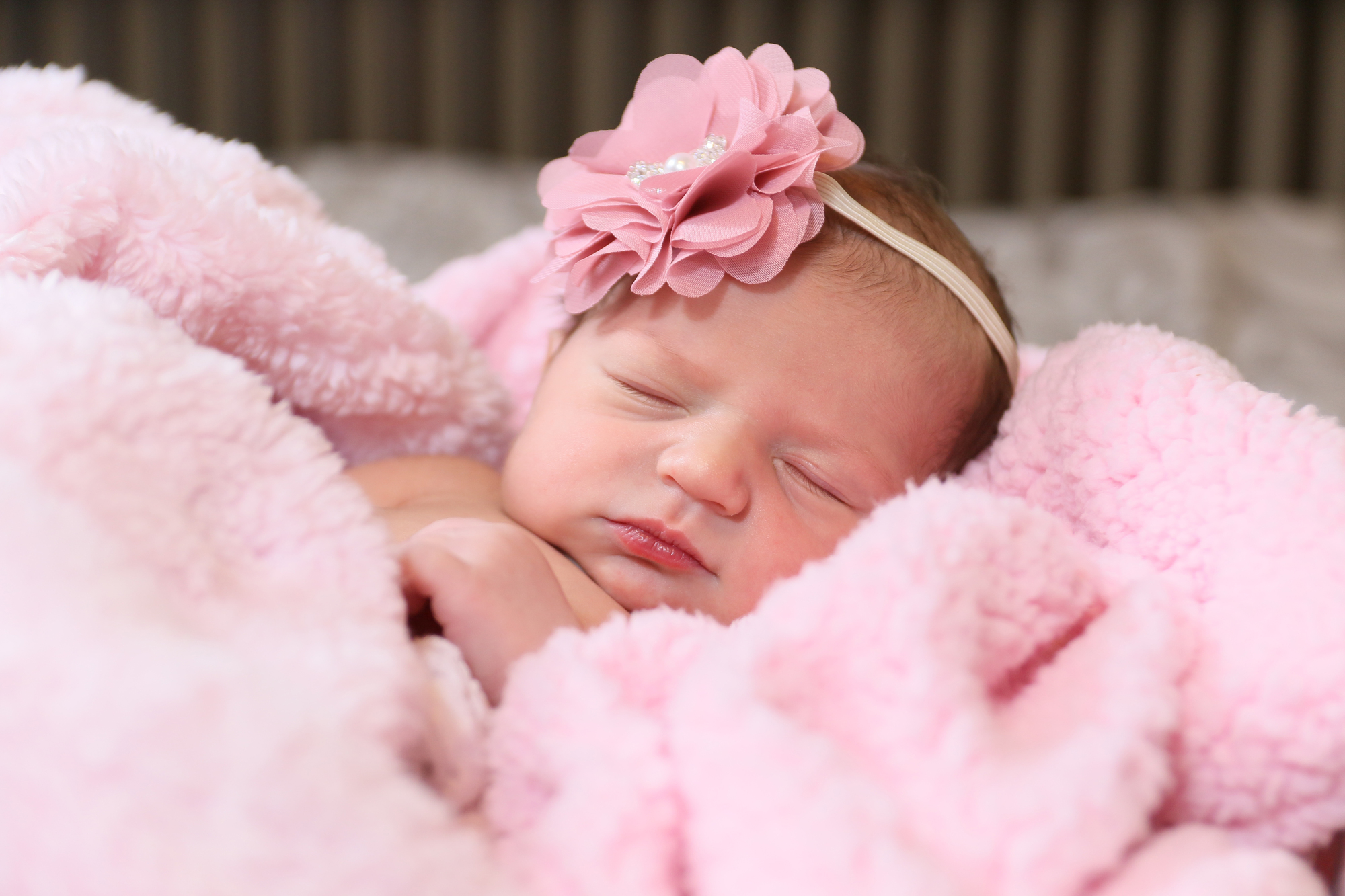 newborn baby girl wrapped in a fluffy pink blanket wearing a flower headband