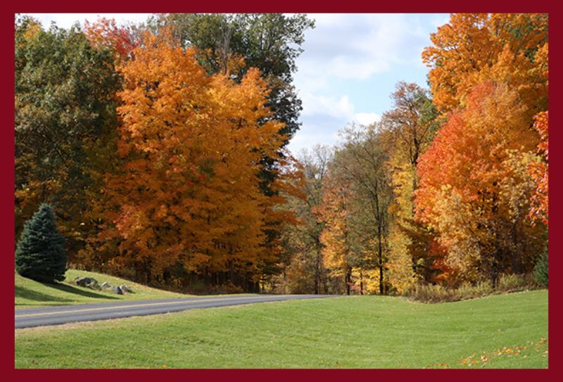 country road at Granger Meadows in DeWitt, Michigan