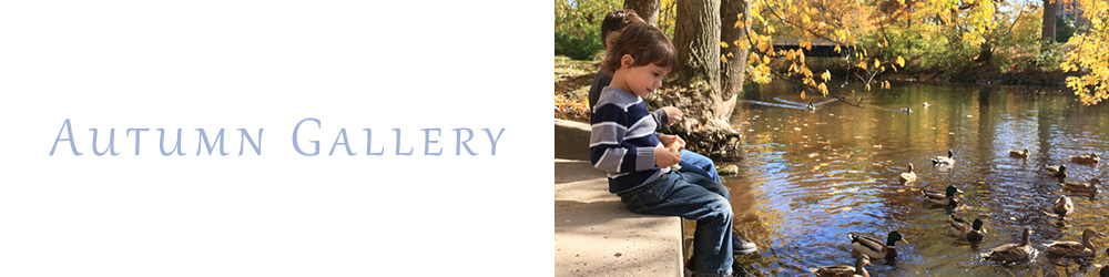 two boys feed ducks on MSU campus in East Lansing Michigan