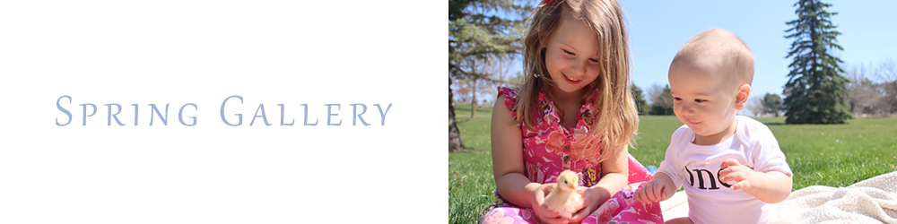 little girl and her baby brother playing with a chick while sitting on a blanket in the yard