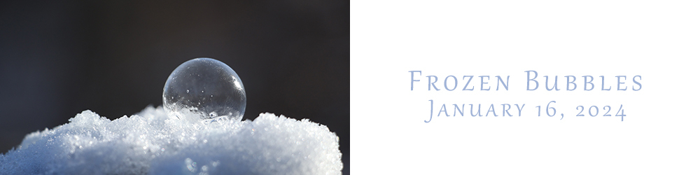 a frozen bubble on snow