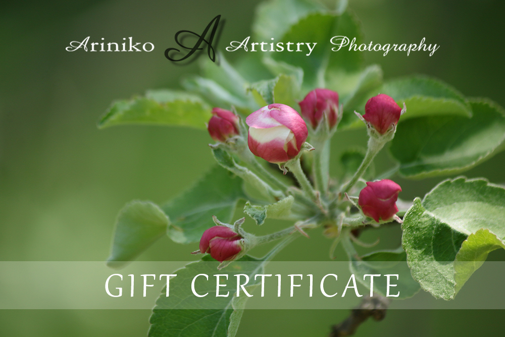 gift certificates for Ariniko Artistry