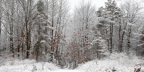 Winter pathway in East Lansing Michigan with a heavy snow