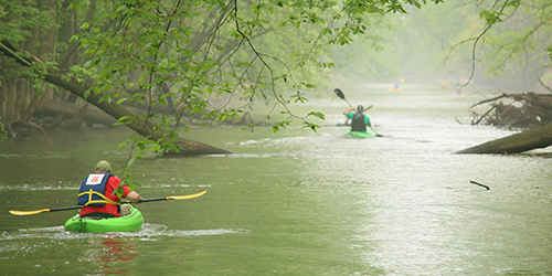 Participants in the Red Paddle Kayak Race in Lansing Michigan