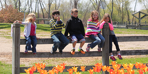 Link to Ariniko Artistry Child Photography Pricing
