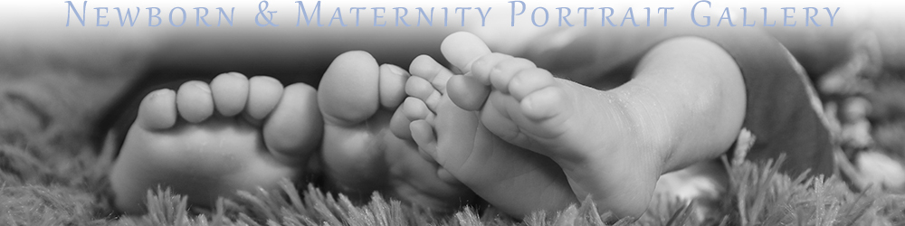 Link to Ariniko Artistry Maternity & Newborn Photography Gallery