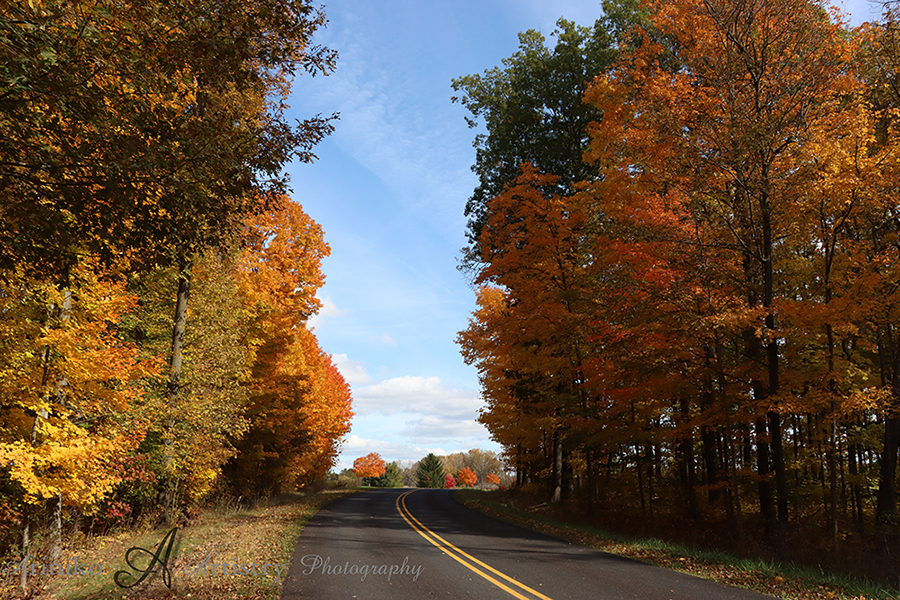 Road through Granger Meadows