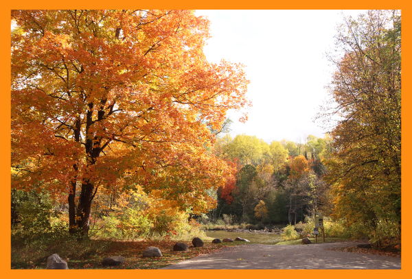 country road near river in Northern Michigan