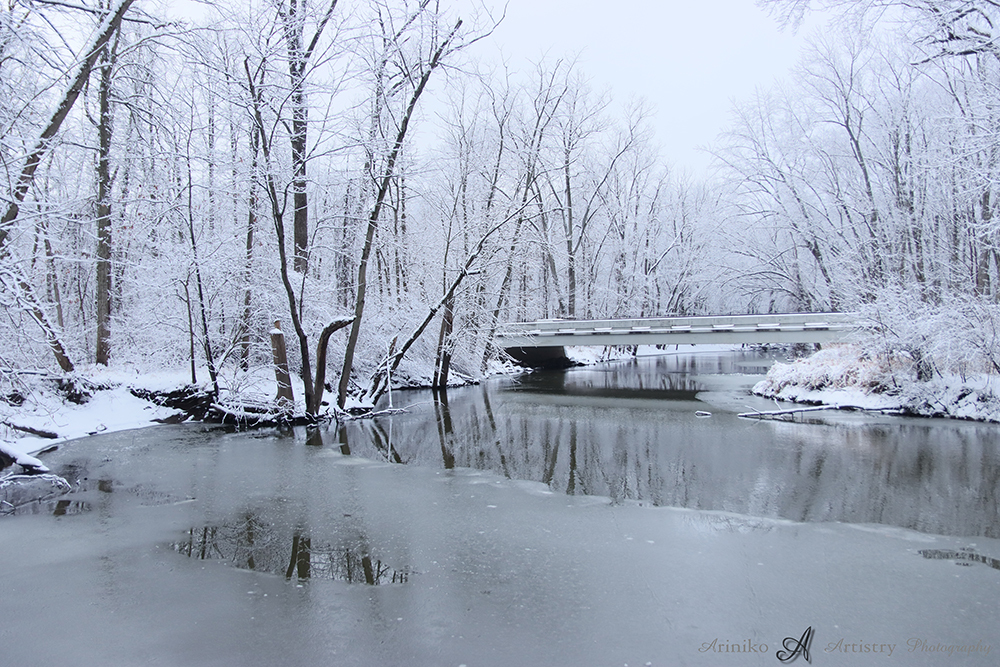 Snowy day in Okemos Michigan