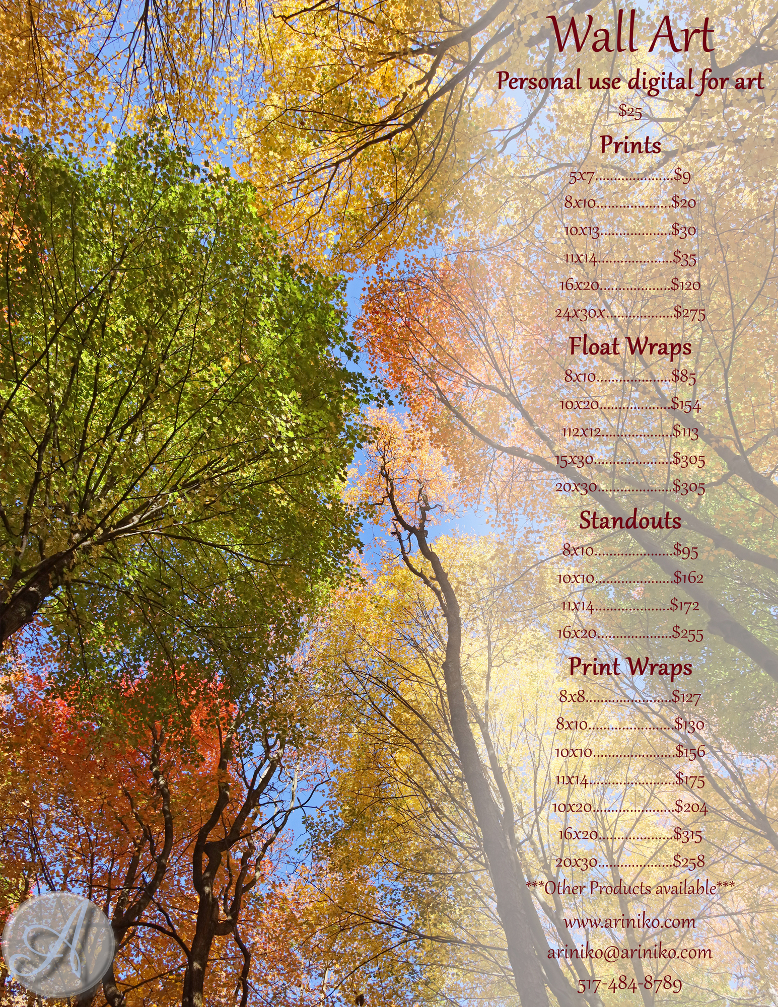 The camera rises to the treetops and catches multiple trees meeting in the air all dressed in their finest fall colors of red, o