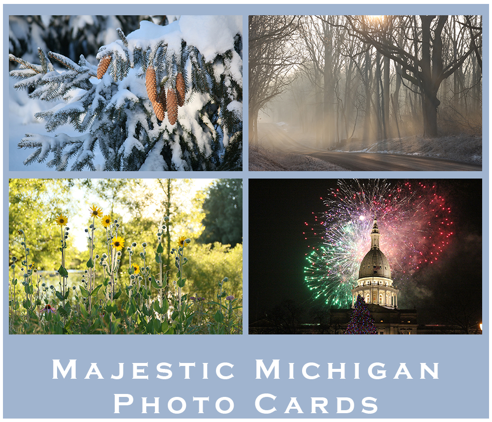 Majestic Michigan Photo Cards