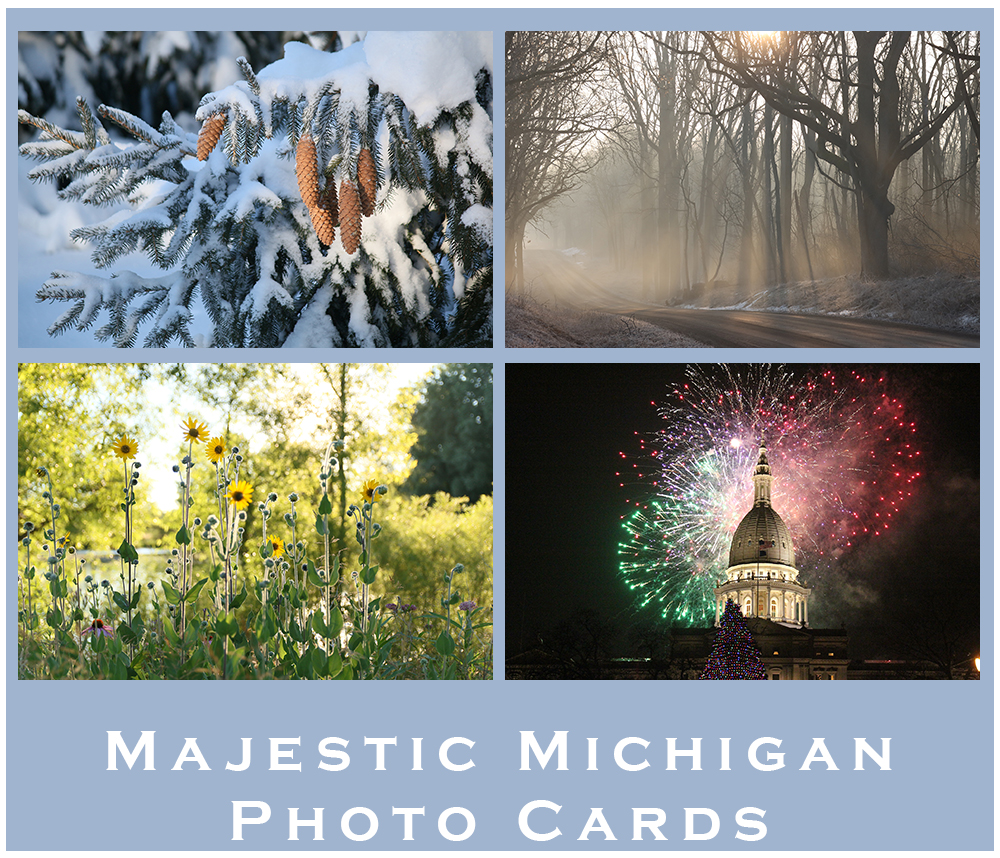 Majestic Michigan Photo Cards