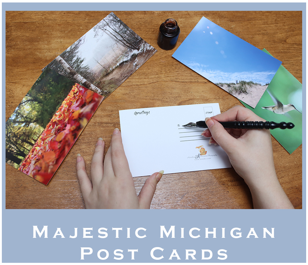 Majestic Michigan Post Cards